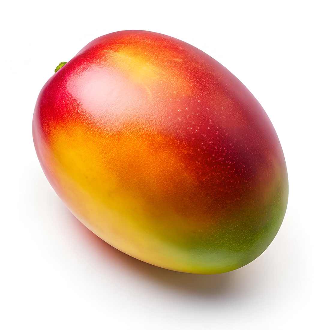 Resultado de imagem para FESTA HD