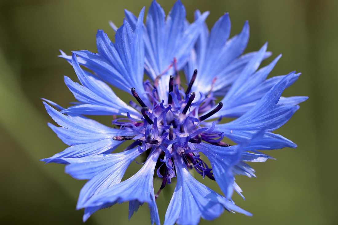 AZAMERICA S2010 NOVA ATUALIZAÇÃO V3.10