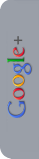 Google+